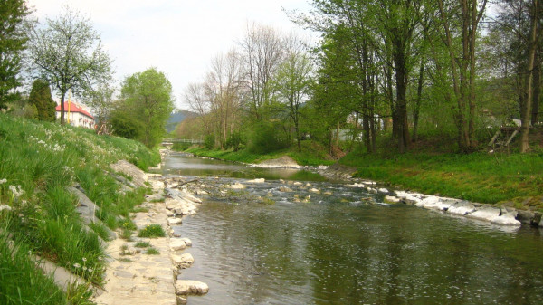 V Karolince