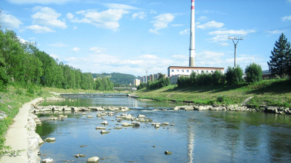 B27004 Skalnat splvek o