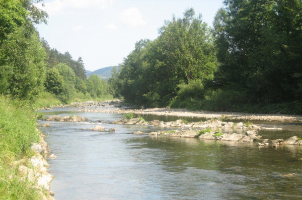 B30815 Nad lvkou u Hovz