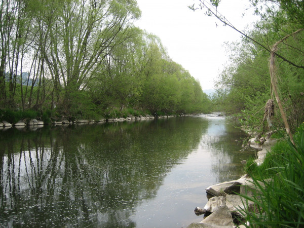 B30904 Pod kempem na Hovz