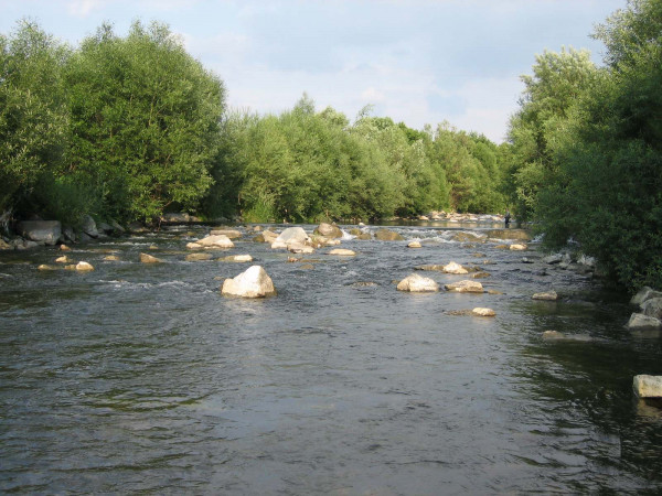 B31000 U kempu nad Hovzm kop