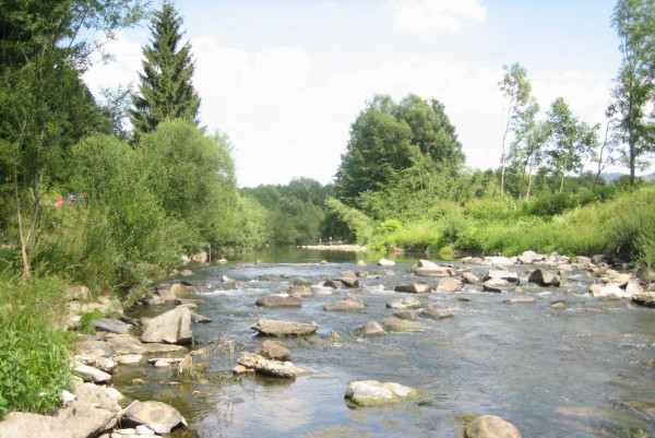 B31411 Na Bainch