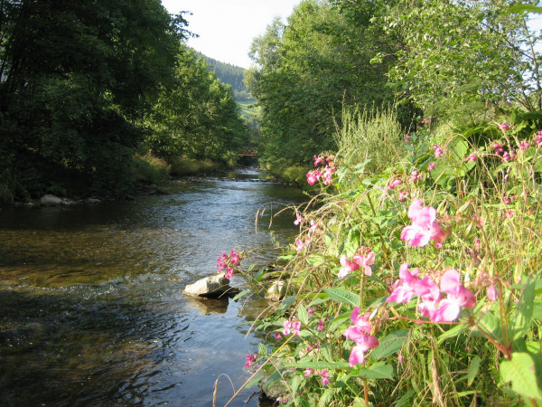 B43000 Hrozenkov nad splavem v