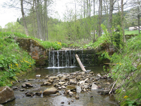 B44654 Vysok splvek na Bev