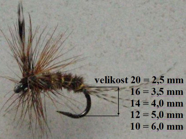 1 Obrzek velikosti muek