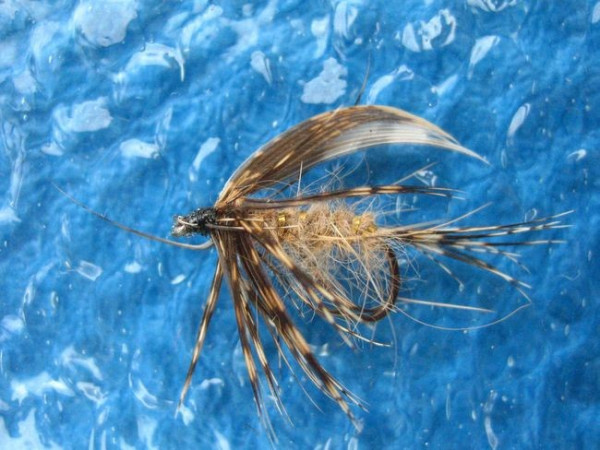 March Brown Dun