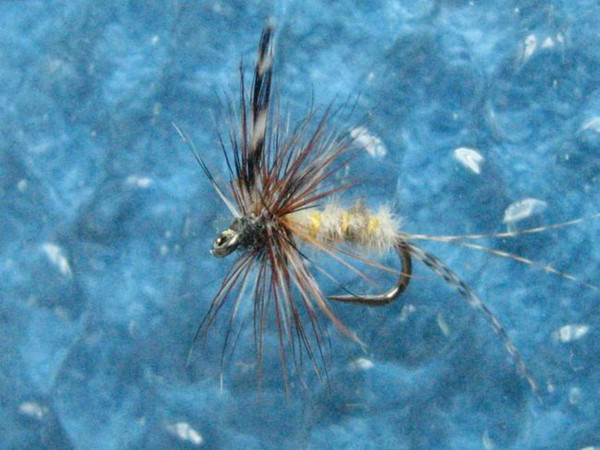 Willow Fly
