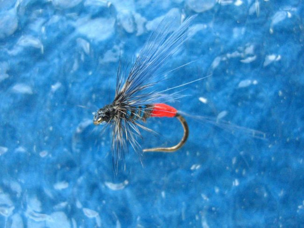 Iron Blue Dun