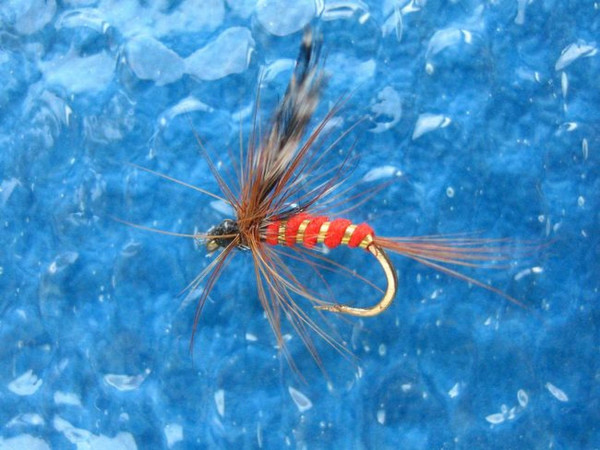 Red Spinner