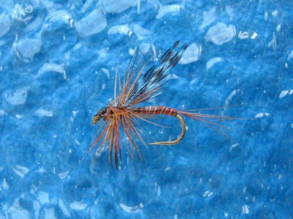 Red Quill